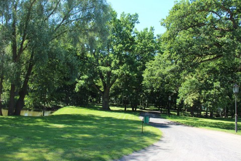 Alejka w parku przy pałacu w Kobylnikach widziana w dzień. Na godzinie dziewiątej fragment stawu, trawnik ze śmietnikiem i drzewa. Na godzinie drugiej i trzeciej dwie latarnie.
