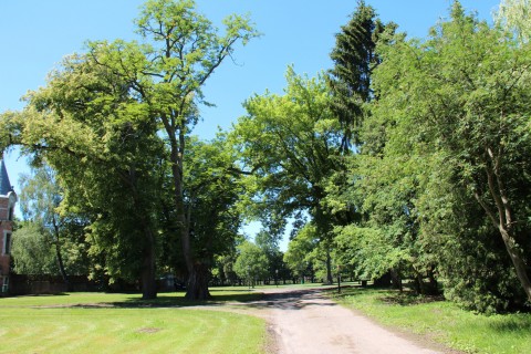 Alejka w parku przy pałacu w Kobylnikach otoczona drzewami i trawą widziana w dzień. Na godzinie dziewiątej fragment pałacu.