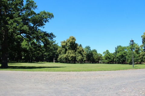Ścieżka i trawnik w parku przy pałacu w Kobylnikach widziana w dzień. Na godzinie trzeciej latarnia.