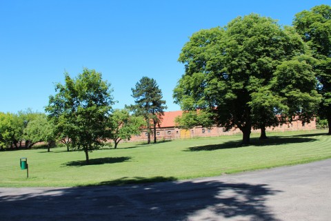 Alejka w parku przy pałacu w Kobylnikach widziana w dzień. W tle zabudowania folwarczne, drzewa i trawnik